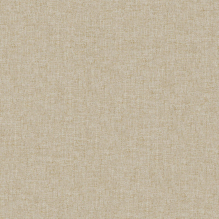 Рогожка портьерно-обивочная FR-One RE-Delis 12-Flax