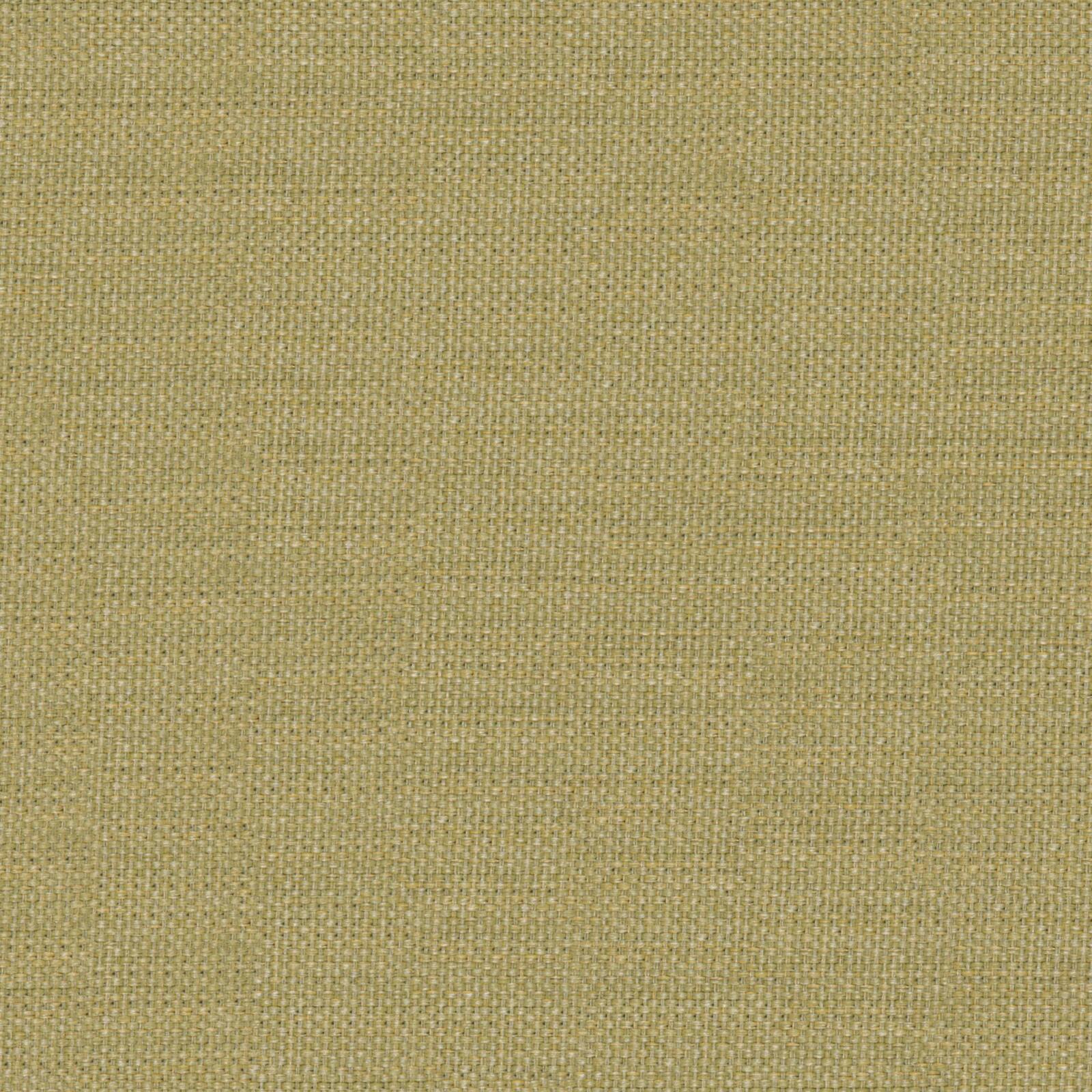 Димаут-меланж с блеском FR-One RE-Juvenate 07-Chartreuse