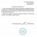 Петербургский занавес